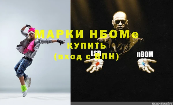 стаф Нефтегорск